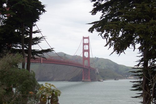San Francisco Golden Gate Bridge (palo-alto_100_8001.jpg) wird geladen. Eindrucksvolle Fotos von der Westküste Amerikas erwarten Sie.